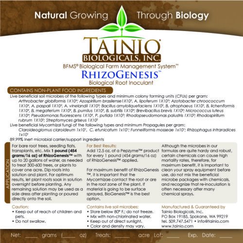 RhizoGenesis