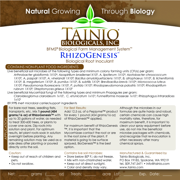RhizoGenesis